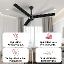 6_3c5be271-35e0-4cb0-a106-a845b789077e.webp