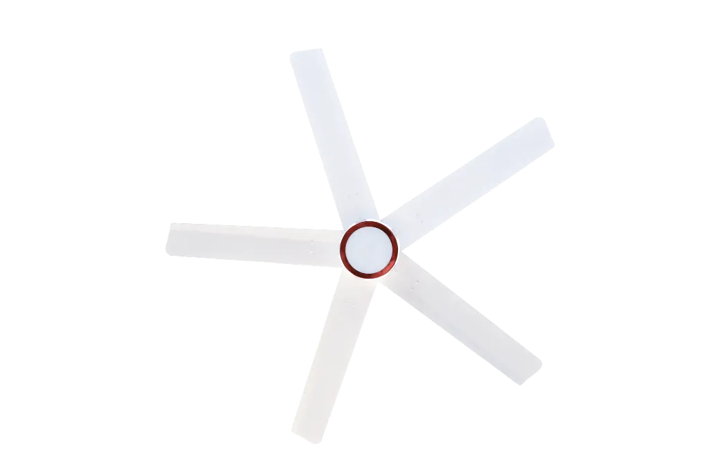 White3IN1_1.webp