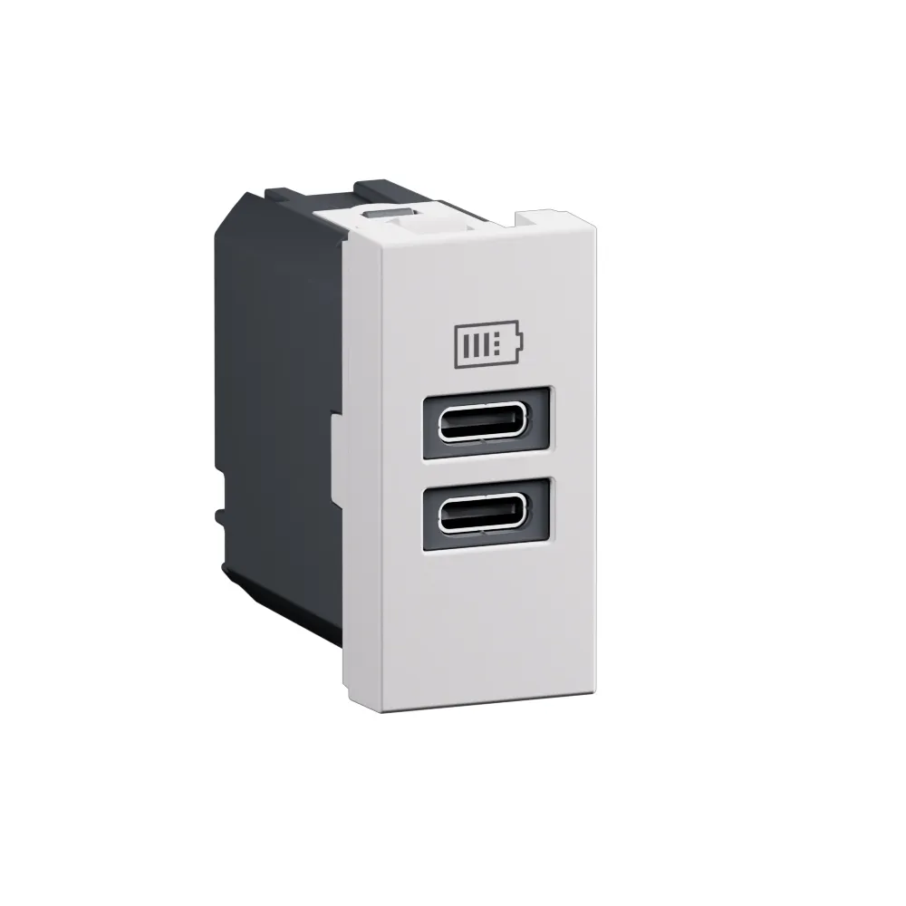 AC3412MW-USB Charger - 3000mA/15 Watts - Type C + C -1 Module